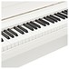 Korg LP-180 Digital Piano, White - Angle