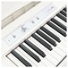 Korg LP-180 Digital Piano, White - Closed