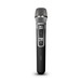 LD Systems HHC2 Double Handheld Condenser Mic Wireless System Mic