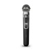LD Systems HHD2 Double Handheld Dynamic Mic Wireless System Mic