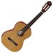 Ortega R122-1/4 Nylon, Cedar Top Front View