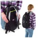 Fusion Urban Medium Backpack, Black