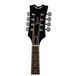 Dean Tennessee AE Magnetic & Piezo Mando - headstock