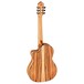Ortega TZSM Thomas Zwijsen Electro Nylon, Solid Spruce Top Back View