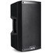 Alto Truesonic TS210 10