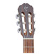 Takamine GC1CE Headstock