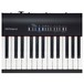 Roland FP 30 Digital Piano, Black