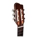 Godin Collection Guitar