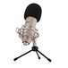 Ashton UM88 USB Condenser Microphone