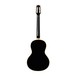 Eko NXT Parlor Acoustic Guitar, Black Back