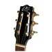 Eko NXT Parlor Acoustic Guitar, Black Headstock