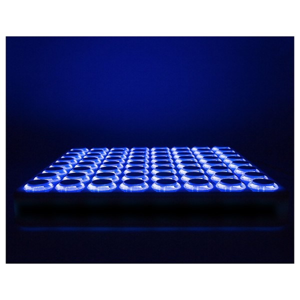 DTM・DAW DJ TechTools / MIDI FIGHTER 64 (BLACK) Amazon | DJ TechTools MIDI FIGHTER 64 (BLACK) MF64-BLACK
