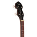 Dean Backwoods 2 Banjo w/Pickup, Gloss Natural