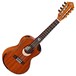 Ortega ECLIPSE-TE8 Tenor 8-String Ukulele, Mahogany Front View