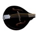 Dean Tennessee Electro Mandolin