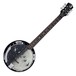 Luna Moonbird 6 String Banjo