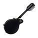 Luna Moonbird F Style Mandolin back