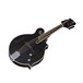 Luna Moonbird F Style Mandolin