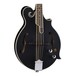 Luna Moonbird F Style Mandolin body