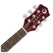 Luna Flora Lotus Electro Acoustic Guitar Neck & Headstock View