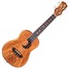 Luna Concert Ukulele, Spalt Maple Front View