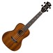 Luna Ukulele, Vintage Mahogany Concert Pack 1