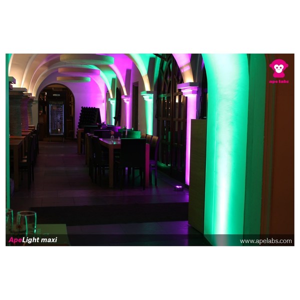 Ape Labs ApeLight Maxi LED Lights, Set of 2, Preview Lit Green