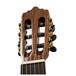 Rubi S59 Head