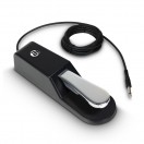 Adam Hall SP1 Sustain Pedal