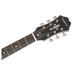 Epiphone SST Coupe Electro Acoustic, Ebony - Headstock
