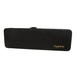 Epiphone Explorer Hardcase