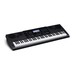 Casio WK-6600 Portable Keyboard, Black