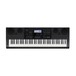 Casio WK-6600 Portable Keyboard, Black