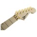 Charvel Pro Mod DK24 HH FR, MN, Snow White Headstock
