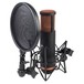 Antelope Audio Edge Microphone - With Shock Mount