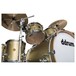 DDrum Dios Maple 22'' 5pc Shell Pack, Satin Gold - Low Close Up Shot