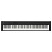 Korg D1 Digital Stage Piano, Top view