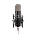 Townsend Labs Sphere L22 - In Shockmount