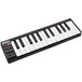 Akai LPK25 Laptop Performance Keyboard