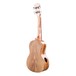 Snail BH-2C Mango Concert Ukulele - back