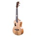 Snail BH-2C Mango Concert Ukulele - side