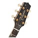 Takamine LTD Gifu-Cho Electro Acoustic 2018 head
