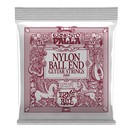 Ernie Ball 2409 Ernesto Palla Nylon Ball End Silver Set, 28-42