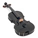 Stentor Harlequin Violin Outfit, Black, 4/4 angle