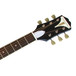 Epiphone Pro-1 Acoustic Guitar for Beginners, Trans Blue