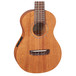 Takamine EGU-C1 Front Close