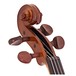 Stentor Student 1 Violin Outfit, 3/4 head