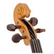 Stentor Harlequin Violin Outfit, Yellow, 4/4 head