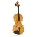Stentor Harlequin Violin Outfit, Yellow, 4/4 front
