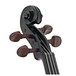 Stentor Harlequin Violin Outfit, Black, 4/4 head